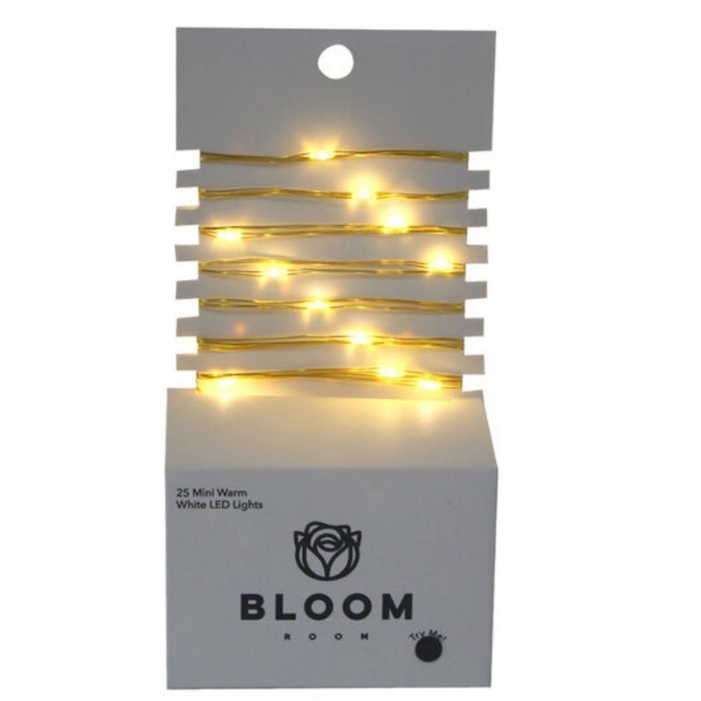 Bloom Room 25 ct LED Mini Gold Wire with Warm White String Lights